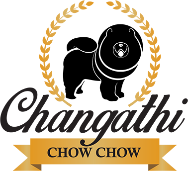 Changathi Chow Chow